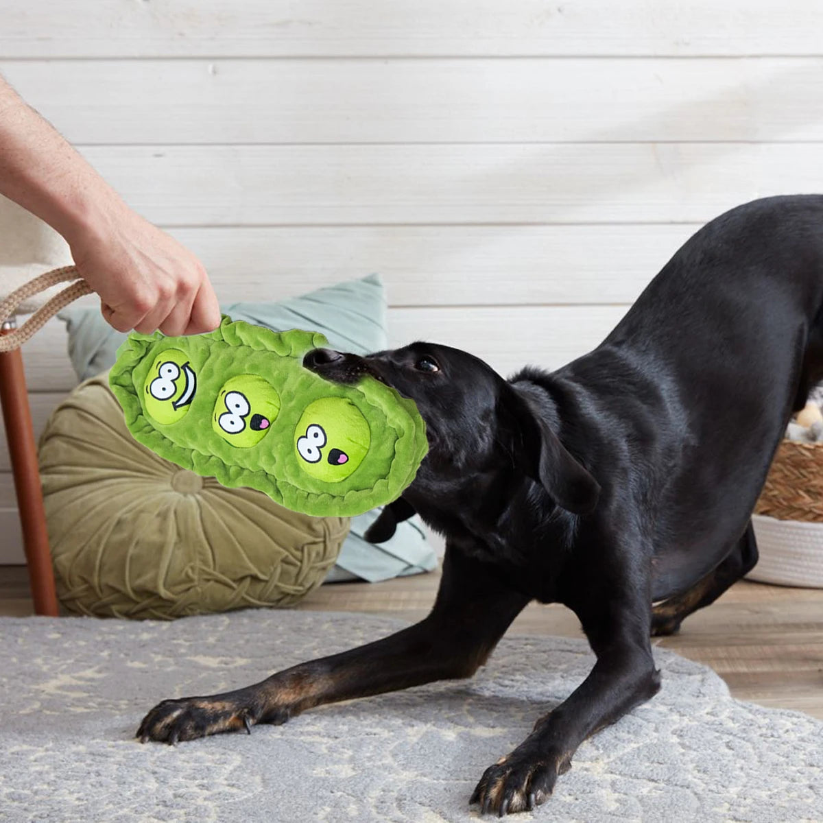 Pet Dog Snack Hiding Toys Relieve Boredom Interactive Doll Pea Pods Sets Throwing Chasing Plush Toy Slow Food Smelling Pet Ball