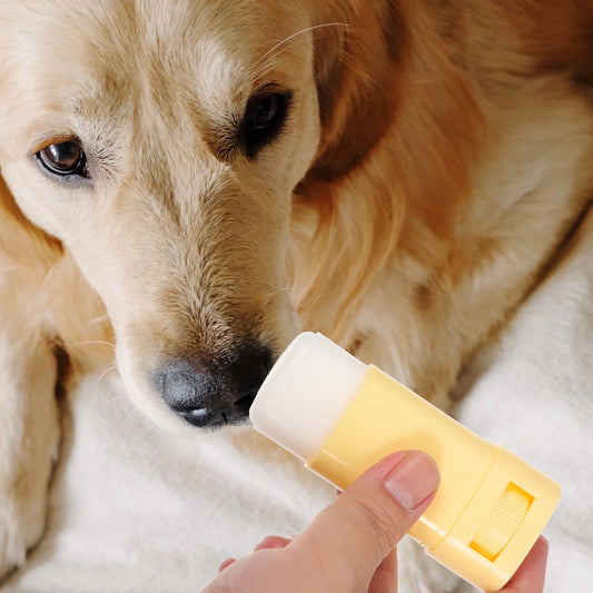 Dog Paw Balm Dog Foot Moisturizer Household Pet Paw Balm Cream pet cat supply balm pet caring supplies